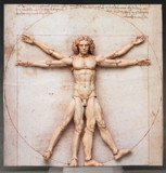 figma ウィトルウィウス的人体図