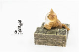 1/6 猫街物語 レイジーキャット 茶トラ C