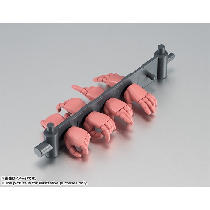 ROBOT魂 〈SIDE MS〉 MS-06S シャア専用ザク ver. A.N.I.M.E.