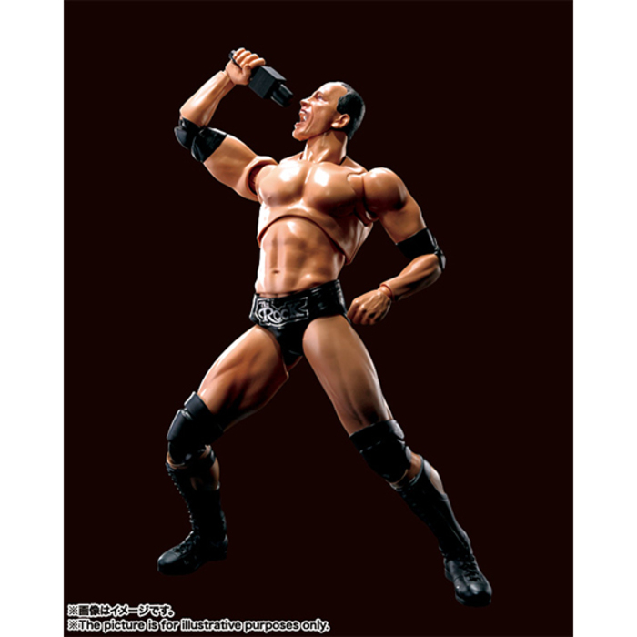 S.H.Figuarts The Rock